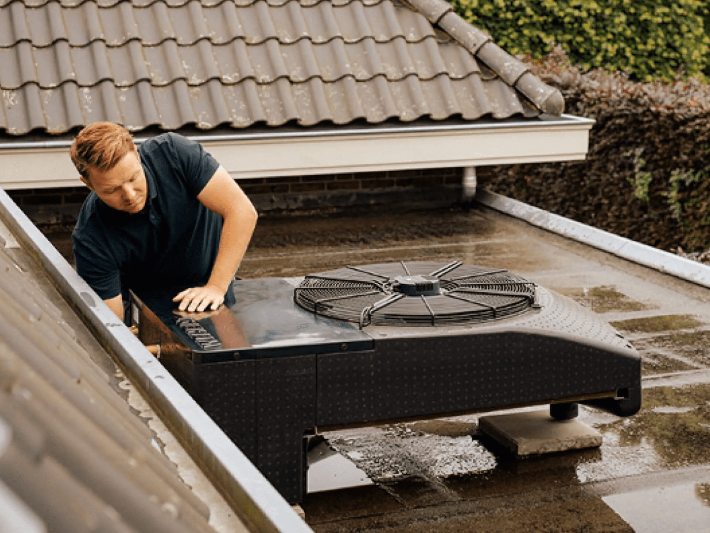 Blackbird installatie